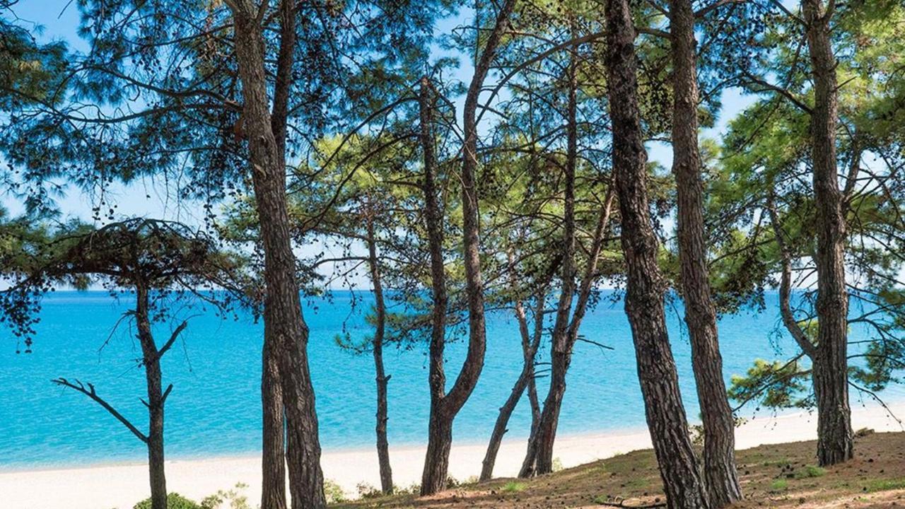 Blue Jasmine Hotel Skala  Bagian luar foto